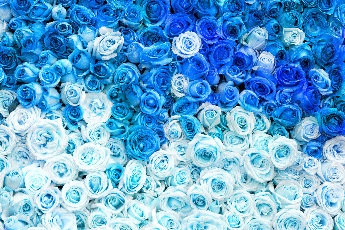 July 19 Florist