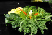 田園鮮菜蛋沙律