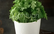 茼蒿