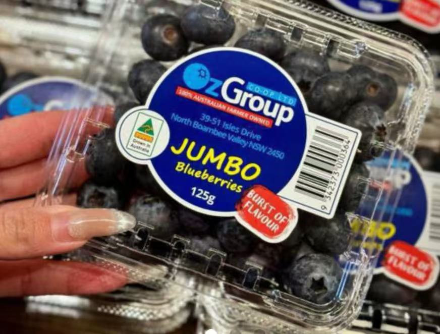 澳洲進口 有機 Jumbo 藍莓 12盒