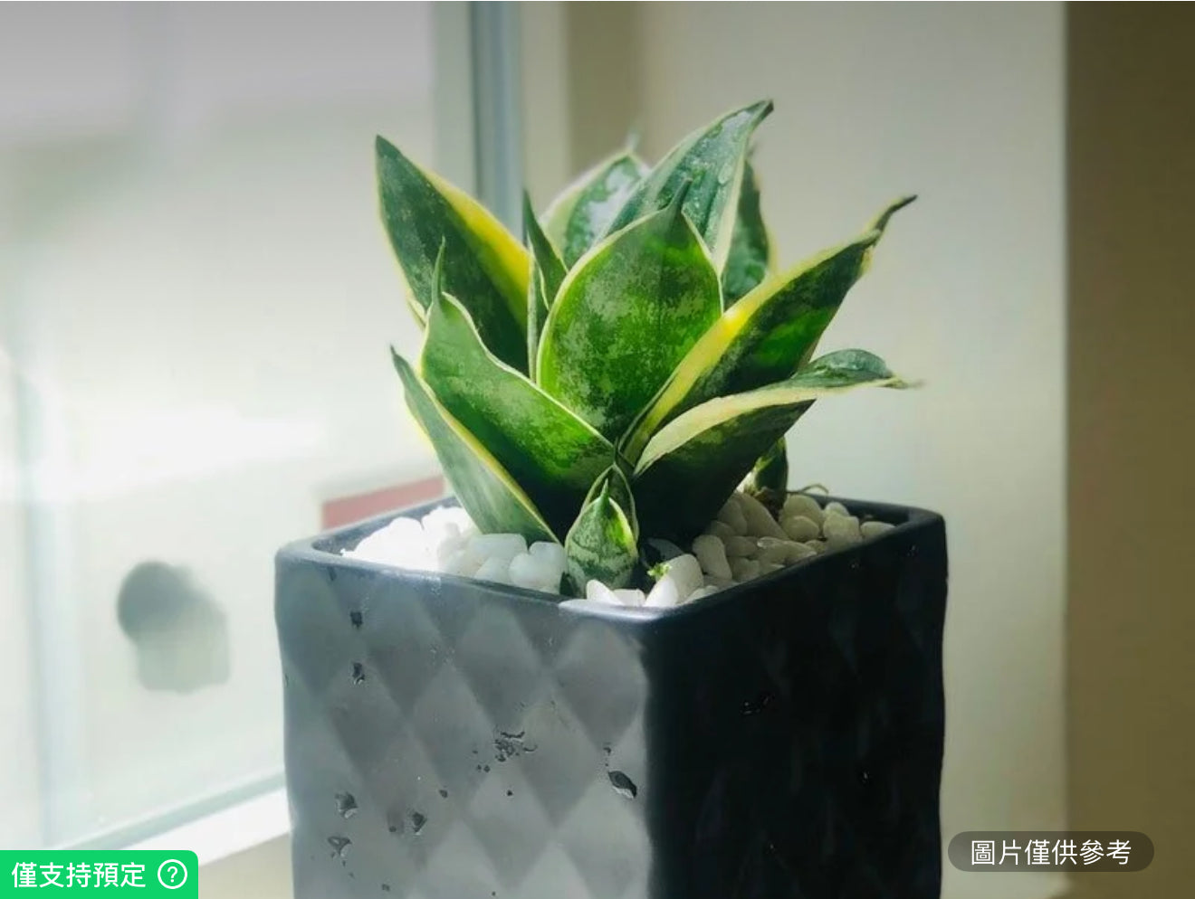 褐色陶瓷方盆