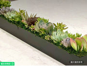 矩形金屬花盆