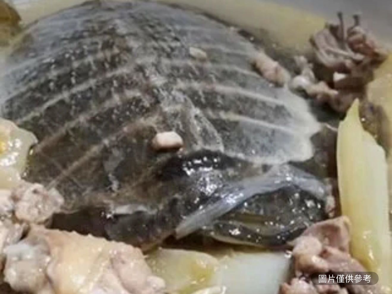 參芪燉水魚