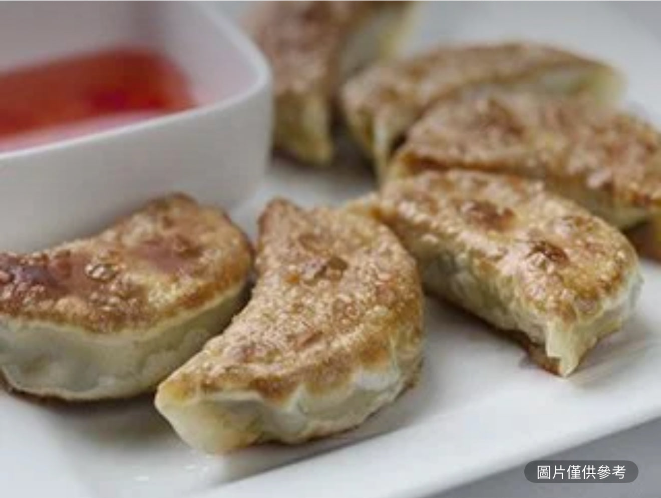 雞汁鍋貼（6）